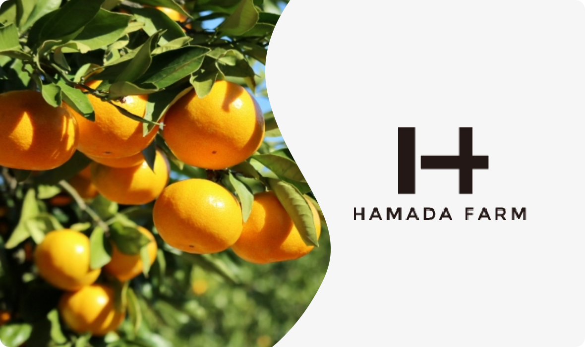 パンフレット制作